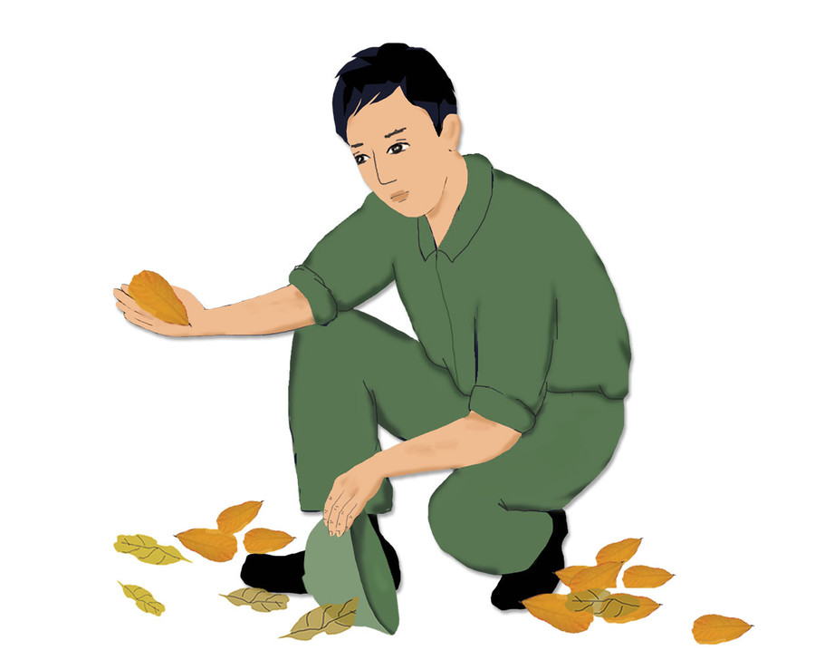 Minh họa: Huyền Trang Minh họa: Huyền Trang