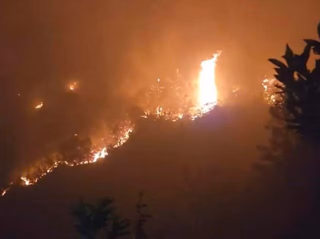 Ngày 26-4-2024, cháy rừng tại tỉnh Hà Giang làm thiệt hại nhiều hec-ta rừng, ảnh hưởng đến môi trường sinh thái và đời sống của người dân trên địa bàn. Ảnh nguồn VGP