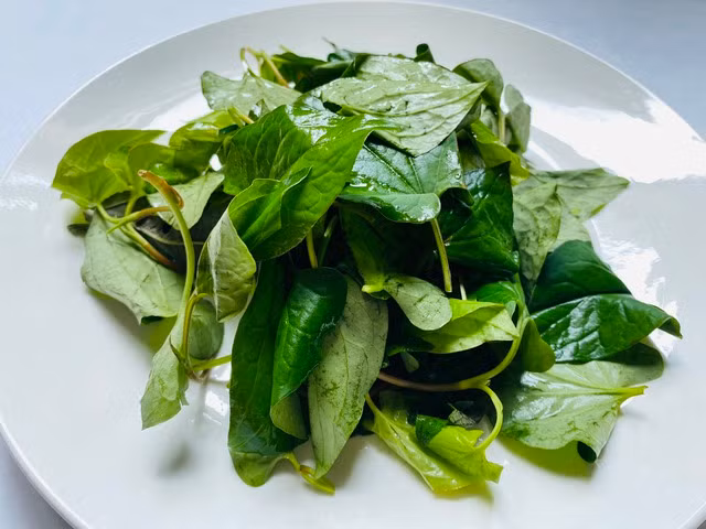 Rau diếp cá. Ảnh: PHƯƠNG AN