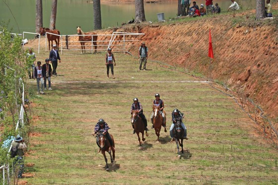 Các ngựa đua tạo sự hấp dẫn ngay từ những mét đầu xuất phát. Ảnh: ĐOÀN KIÊN