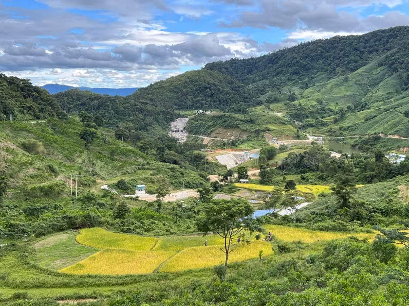 Nâng cao chất lượng rừng để bảo tồn hệ sinh thái rừng và phòng-chống thiên tai. Ảnh: P.V
