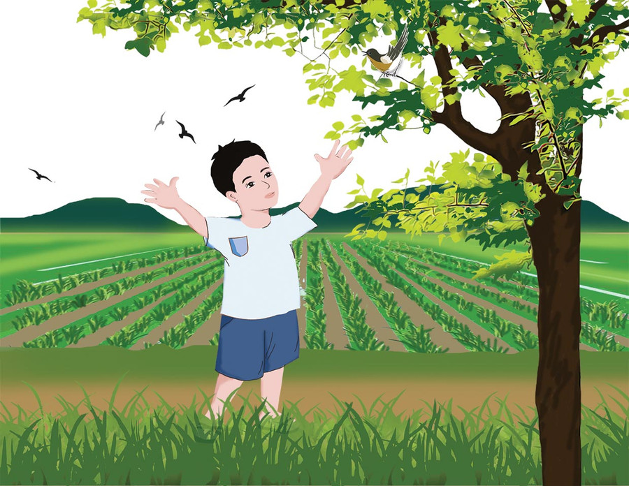 Minh họa: HUYỀN TRANG Minh họa: HUYỀN TRANG