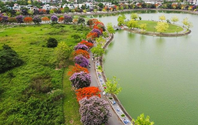 Hoa bằng lăng, hoa phượng, muồng hoàng yến nở rộ khiến công viên hồ Đồng Chiệc đẹp như một bức tranh nhiều sắc màu, được giới trẻ ví đẹp như ở Hàn Quốc. Hoa bằng lăng, hoa phượng, muồng hoàng yến nở rộ khiến công viên hồ Đồng Chiệc đẹp như một bức tranh nhiều sắc màu, được giới trẻ ví đẹp như ở Hàn Quốc.