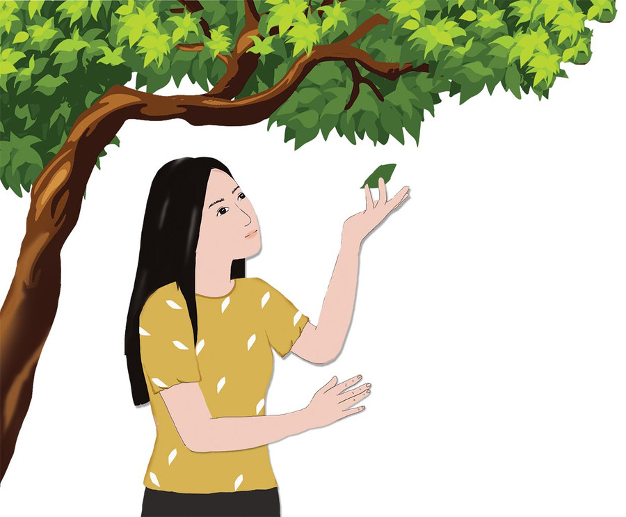 Minh họa: HUYỀN TRANG Minh họa: HUYỀN TRANG