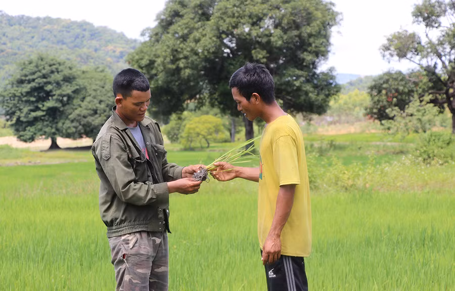 Anh Đinh Hlơr (bìa trái, làng Hrach, xã Đak Kơ Ning) chia sẻ kinh nghiệm trồng lúa nước với người dân. Ảnh: N.M