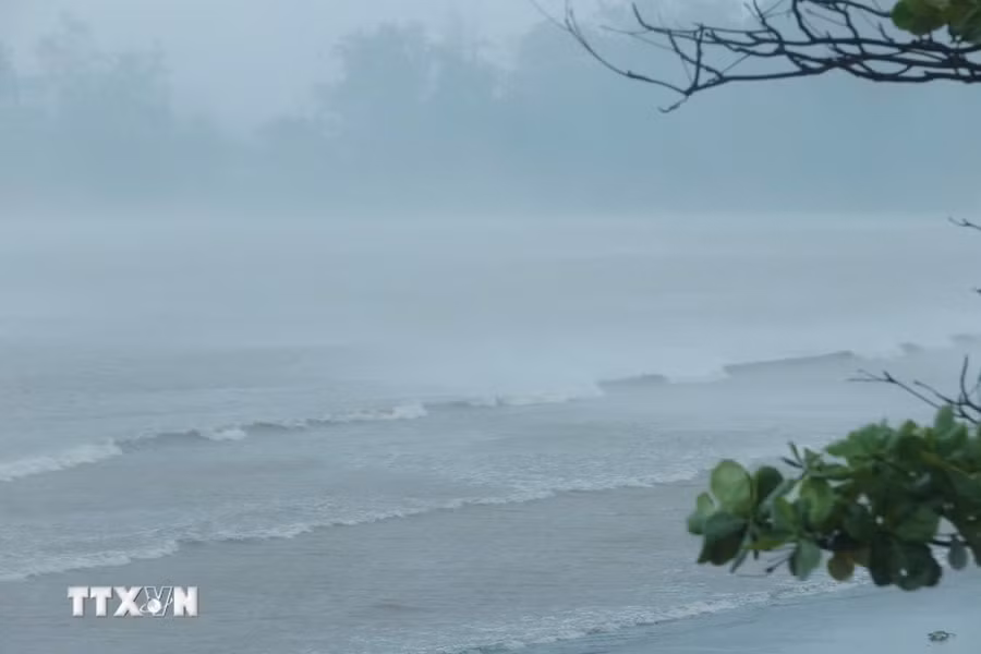 (Ảnh minh họa. Nguồn: TTXVN)