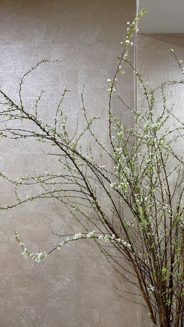 Tuyết mai cũng là lựa chọn phổ biến, tuy nhiên khá khó chăm cần thay nước ấm thường xuyên cho hoa nở căng cánh. Tuyết mai cũng là lựa chọn phổ biến, tuy nhiên khá khó chăm cần thay nước ấm thường xuyên cho hoa nở căng cánh.