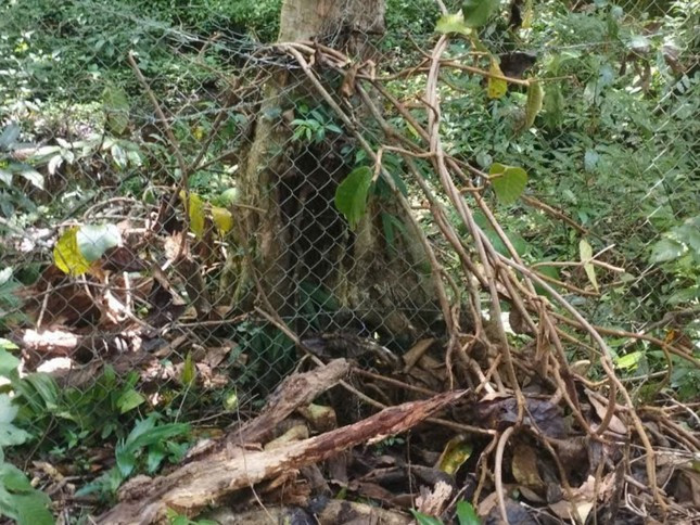 Khu vực rào bị nghiêng đổ Khu vực rào bị nghiêng đổ