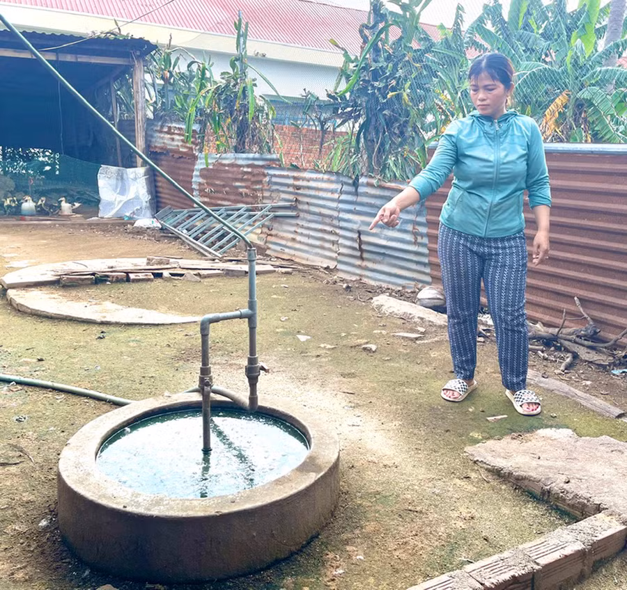 Bà Võ Thị Hảo xây dựng hầm bioga để xử lý chất thải trong chăn nuôi heo đảm bảo vệ sinh môi trường. Ảnh: Nhật Hào