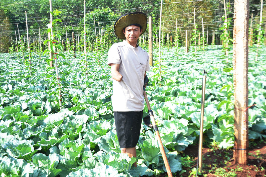 Anh Hà Thanh Tổng chăm sóc vườn rau của gia đình. Ảnh: Hoàng Cư Anh Hà Thanh Tổng chăm sóc vườn rau của gia đình. Ảnh: Hoàng Cư