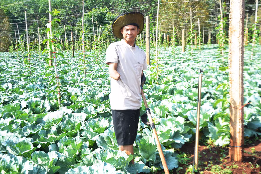 Anh Hà Thanh Tổng chăm sóc vườn rau của gia đình. Ảnh: Hoàng Cư