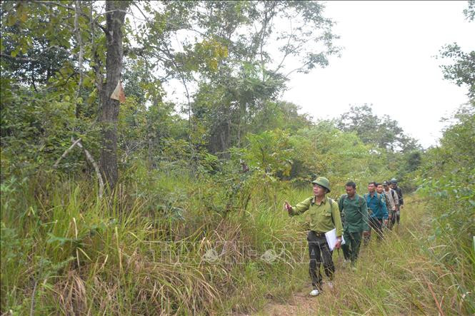 Lực lượng quản lý, bảo vệ rừng Khu bảo tồn thiên nhiên Ea Sô tăng cường công tác tuần tra tại các điểm nóng xâm phạm tài nguyên rừng. Lực lượng quản lý, bảo vệ rừng Khu bảo tồn thiên nhiên Ea Sô tăng cường công tác tuần tra tại các điểm nóng xâm phạm tài nguyên rừng.