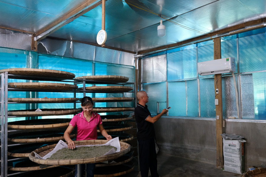 Nông dân Đạ Pal có nhiều kinh nghiệm với nghề truyền thống có giống dâu tốt, giống tằm ổn định nhưng khí hậu có thời điểm lại khắc nghiệt, ảnh hưởng đến chất lượng kén tằm Nông dân Đạ Pal có nhiều kinh nghiệm với nghề truyền thống có giống dâu tốt, giống tằm ổn định nhưng khí hậu có thời điểm lại khắc nghiệt, ảnh hưởng đến chất lượng kén tằm