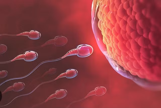 Lấy tinh trùng còn sống từ nam giới vừa qua đời có thể hỗ trợ sinh sản trong tương lai. Ảnh: SHUTTERSTOCK