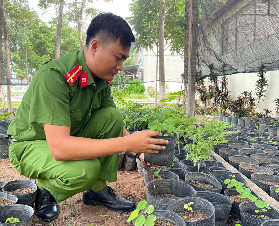 Anh Nguyễn Văn Toàn-Bí thư Chi đoàn Cảnh sát điều tra Công an thị xã Ayun Pa-dành thời gian sau giờ làm việc để chăm sóc, kiểm tra quá trình phát triển của cây giống trong Vườn ươm thanh niên. Ảnh: Vũ Chi Anh Nguyễn Văn Toàn-Bí thư Chi đoàn Cảnh sát điều tra Công an thị xã Ayun Pa-dành thời gian sau giờ làm việc để chăm sóc, kiểm tra quá trình phát triển của cây giống trong Vườn ươm thanh niên. Ảnh: Vũ Chi