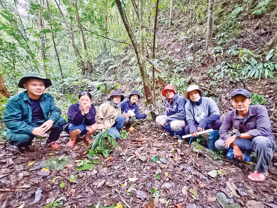 Anh Nguyễn Ái Tâm (bìa phải) tập huấn cho sinh viên các ngành lâm nghiệp, xã hội, sư phạm, môi trường các trường đại học trong nước về công tác bảo tồn. Ảnh: M.P