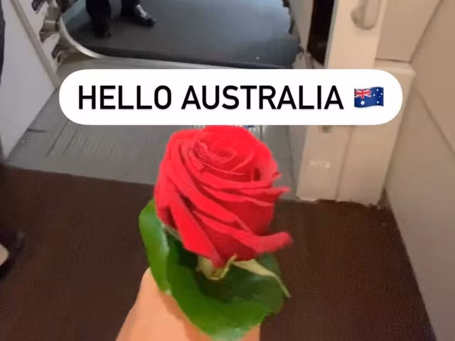 Đóa hoa hồng "giá 1.200 USD" của Lays Laraya. Ảnh: INSIDER