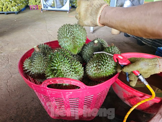 Ông Kiệt dùng súng áp lực để loại bỏ sinh vật bám trên bề mặt vỏ Ông Kiệt dùng súng áp lực để loại bỏ sinh vật bám trên bề mặt vỏ