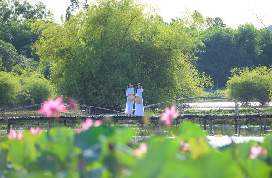 Đầm sen rộng lớn kết hợp với cây xanh, hồ nước tạo nên khung cảnh thiên nhiên làm xao xuyến du khách. Ảnh: Nguyễn Trình