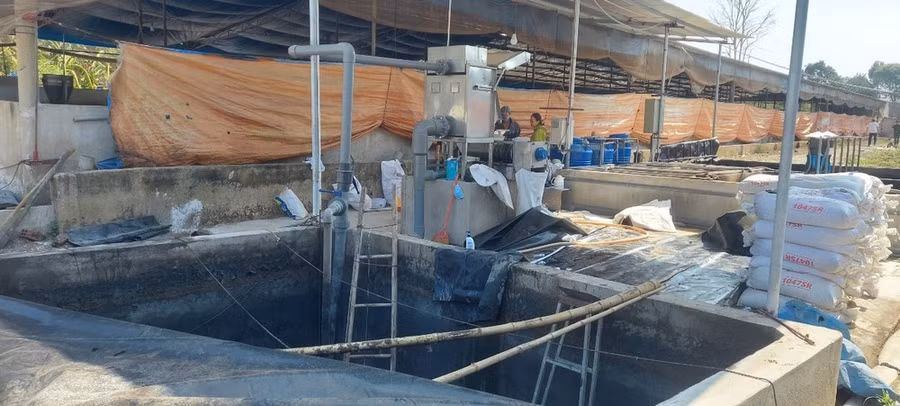 Hiện trường vụ việc