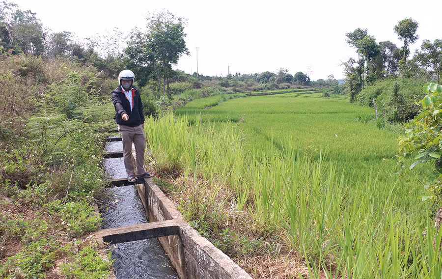 Nguồn nước dẫn về cánh đồng Kjai (xã Kông Htok) vẫn tương đối dồi dào, đảm bảo cho người dân sản xuất. Ảnh: Q.T
