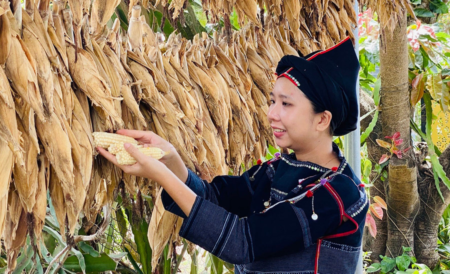Đinh Thị H’Phim phơi khô bắp để làm nguyên liệu ủ rượu ghè. Ảnh: Mai Ka