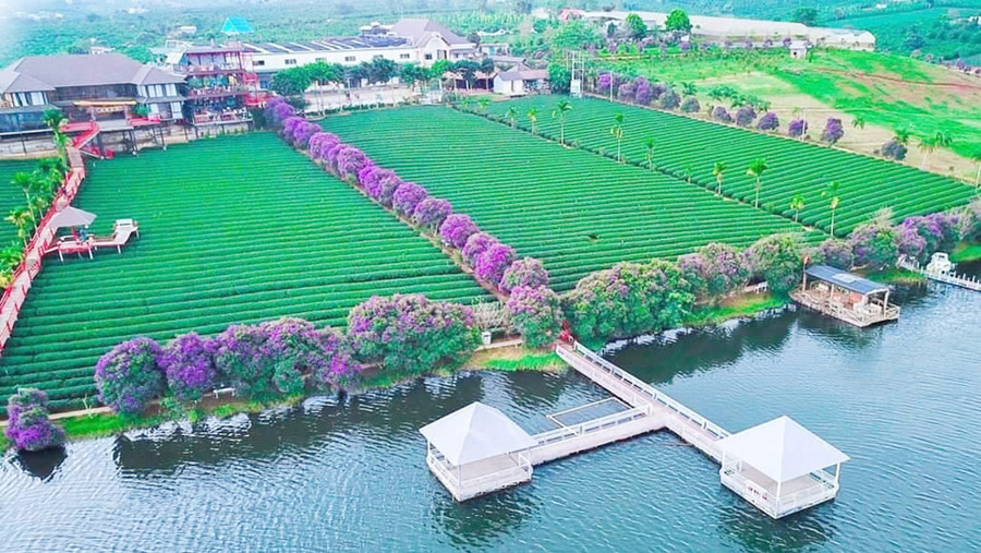 Lâm Hà có rất nhiều phong cảnh hữu tình Lâm Hà có rất nhiều phong cảnh hữu tình