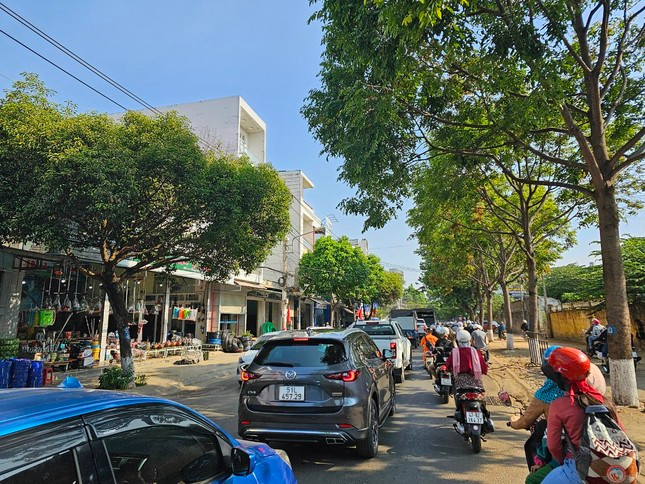 Cây xanh được trồng 2 bên đường TP Buôn Ma Thuột, Đắk Lắk.