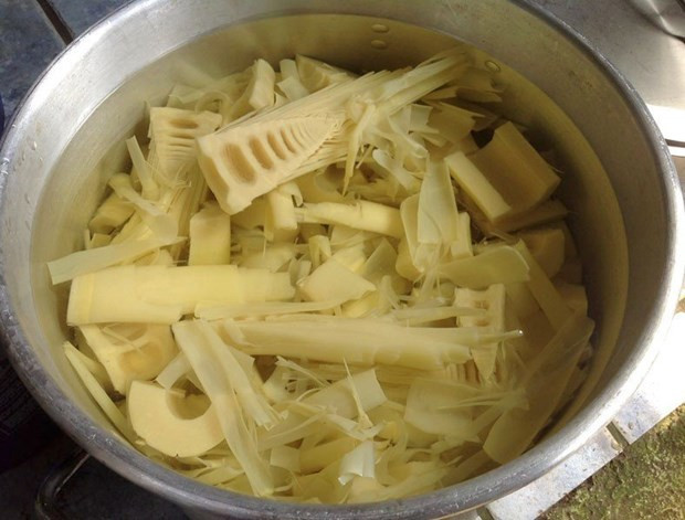 Lượng độc tố trong măng nhanh chóng giảm nhiều qua quá trình chế biến như luộc, ngâm, ủ. (Nguồn: Bệnh viện Bạch Mai) Lượng độc tố trong măng nhanh chóng giảm nhiều qua quá trình chế biến như luộc, ngâm, ủ. (Nguồn: Bệnh viện Bạch Mai)