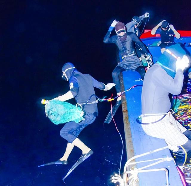 Hai ngư dân nhảy xuống nước lặn vào lúc 3 giờ sáng. Ảnh: LÊ VĂN CHƯƠNG Hai ngư dân nhảy xuống nước lặn vào lúc 3 giờ sáng. Ảnh: LÊ VĂN CHƯƠNG