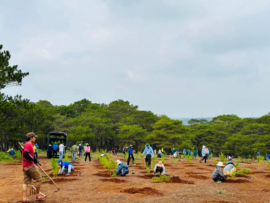 Hoạt động trồng cây phủ xanh đất trống, đồi trọc được đoàn viên, thanh niên trên địa bàn TP. Pleiku tích cực tham gia. Ảnh P.L Hoạt động trồng cây phủ xanh đất trống, đồi trọc được đoàn viên, thanh niên trên địa bàn TP. Pleiku tích cực tham gia. Ảnh P.L