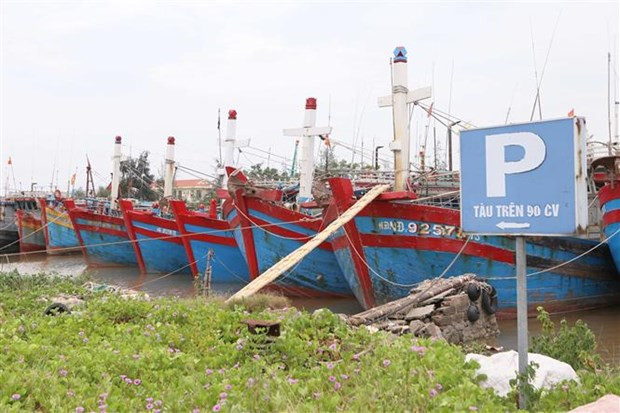 Ban Chỉ đạo Quốc gia về Phòng, Chống Thiên tai yêu cầu quản lý chặt chẽ các phương tiện ra khơi để chủ động ứng phó với diễn biến của bão số 4. (Ảnh: Công Luật/TTXVN)