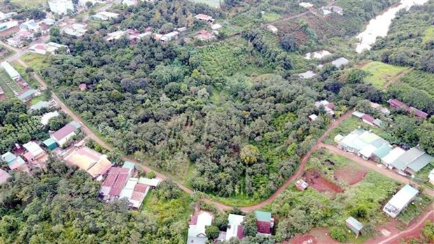 Ảnh minh họa/ TTXVN