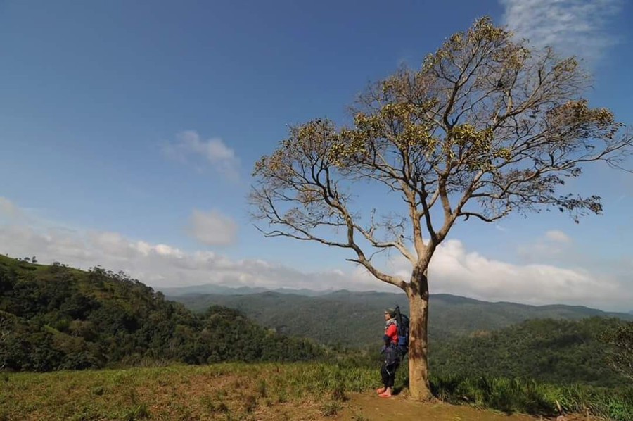 Cảnh vật tuyệt đẹp trên cung đường Tà Năng - Phan Dũng. Ảnh: Lê Dương
