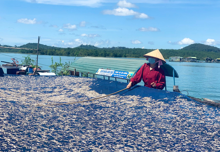 Chị Hà Thị Diễm Nhung đang phơi cá cơm khô, một đặc sản du khách nên mua về làm quà khi đến thăm làng chài Sê San. Ảnh: Võ Thanh Thảo Chị Hà Thị Diễm Nhung đang phơi cá cơm khô, một đặc sản du khách nên mua về làm quà khi đến thăm làng chài Sê San. Ảnh: Võ Thanh Thảo