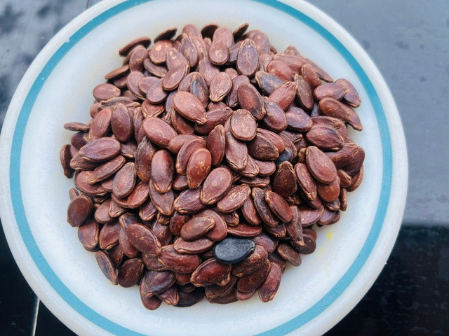 Hạt dưa cung cấp protein, vitamin B, kẽm và một số loại khoáng chất khác. Ảnh: Lê Cầm Hạt dưa cung cấp protein, vitamin B, kẽm và một số loại khoáng chất khác. Ảnh: Lê Cầm