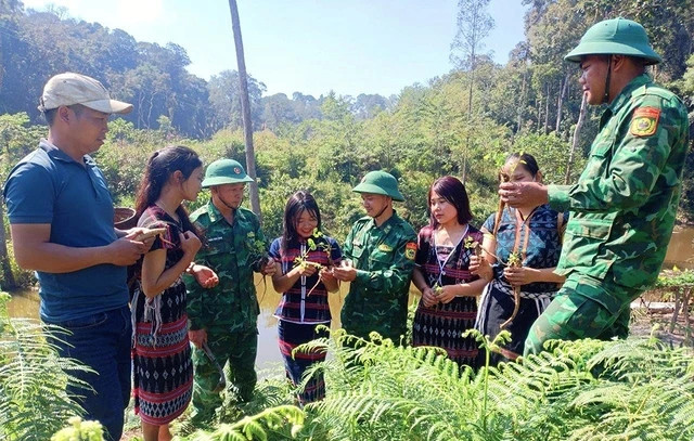 Chiến sĩ biên phòng hướng dẫn người dân trồng cây dược liệu để đạt hiệu quả năng suất cao. Ảnh: Nam Thịnh Chiến sĩ biên phòng hướng dẫn người dân trồng cây dược liệu để đạt hiệu quả năng suất cao. Ảnh: Nam Thịnh