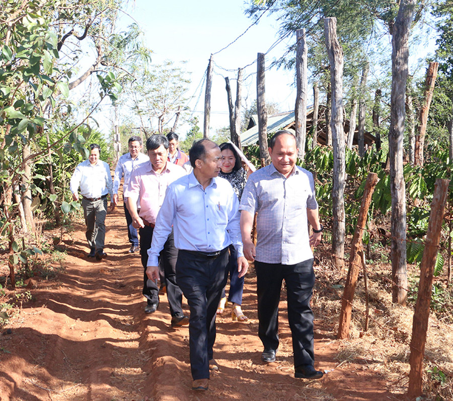 Phó Bí thư Tỉnh ủy cùng đoàn công tác đi khảo sát tình hình phát triển kinh tế-xã hội của làng Thơ Ga B. Ảnh: Quang Tấn