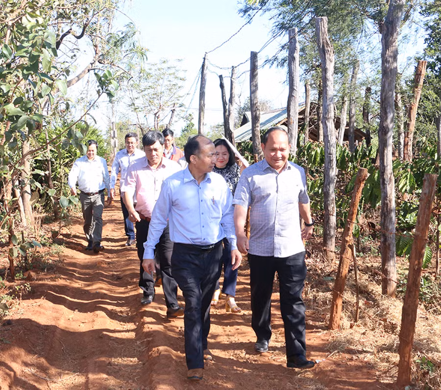 Phó Bí thư Tỉnh ủy cùng đoàn công tác đi khảo sát tình hình phát triển kinh tế-xã hội của làng Thơ Ga B. Ảnh: Quang Tấn