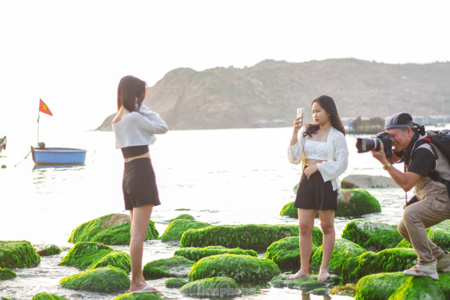 Người dân, du khách thích thú "check-in" với rêu xanh ở bán đảo Nhơn Hải. Ảnh: Trương Định Người dân, du khách thích thú "check-in" với rêu xanh ở bán đảo Nhơn Hải. Ảnh: Trương Định