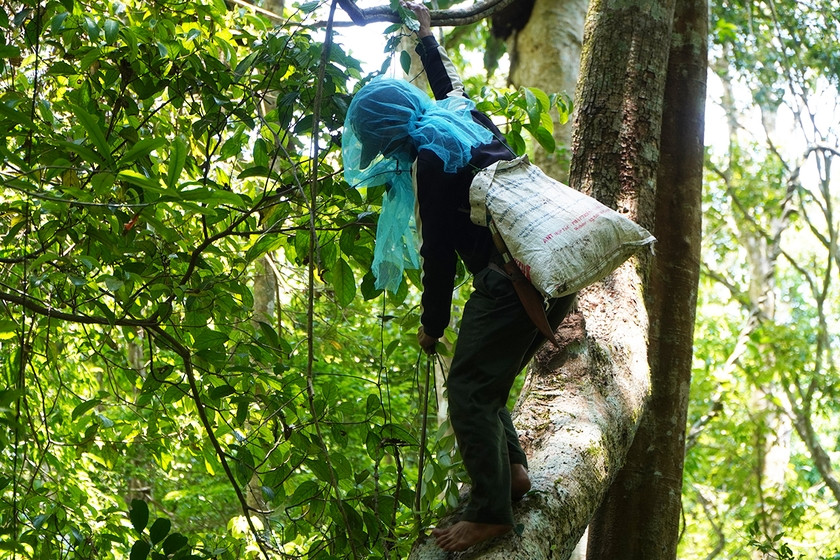 Ảnh minh họa: Thiên Di Ảnh minh họa: Thiên Di