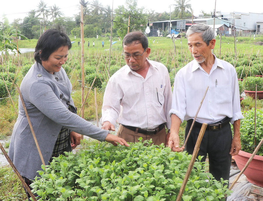 Cán bộ tổ dân phố 3, phường An Phú, chia sẻ kinh nghiệm trồng, chăm sóc hoa cúc chậu với chị Phạm Thị Mỹ Kiều. Ảnh: Ngọc Minh
