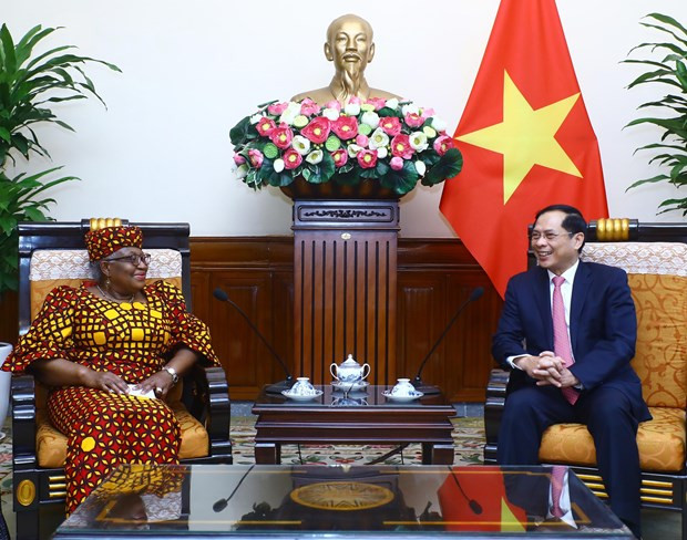 Bộ trưởng Ngoại giao Bùi Thanh Sơn tiếp Tổng Giám đốc Tổ chức Thương mại thế giới (WTO) Ngozi Okonjo-Iweala. (Ảnh: Lâm Khánh/TTXVN) Bộ trưởng Ngoại giao Bùi Thanh Sơn tiếp Tổng Giám đốc Tổ chức Thương mại thế giới (WTO) Ngozi Okonjo-Iweala. (Ảnh: Lâm Khánh/TTXVN)
