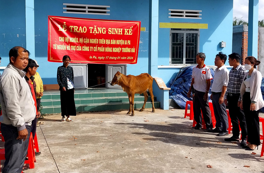 Đại diện Ban Thường trực Ủy ban MTTQ Việt Nam huyện Ia Pa và các đơn vị liên quan trao bò sinh sản cho các hộ nghèo tại xã Kim Tân. Ảnh: TH Đại diện Ban Thường trực Ủy ban MTTQ Việt Nam huyện Ia Pa và các đơn vị liên quan trao bò sinh sản cho các hộ nghèo tại xã Kim Tân. Ảnh: TH