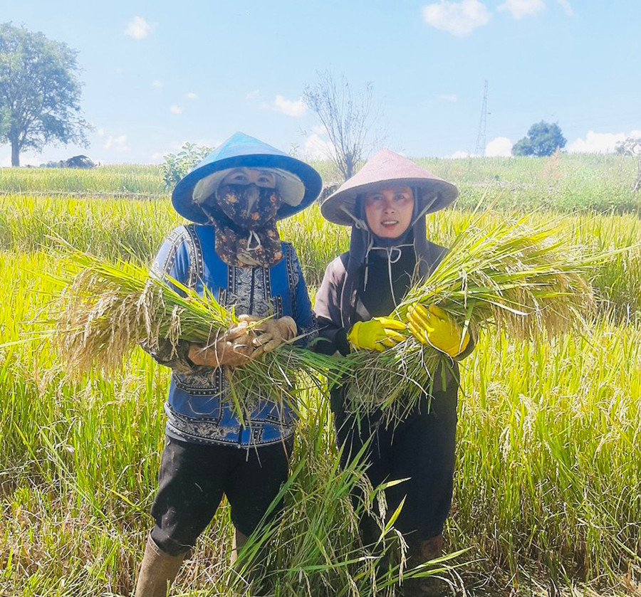Chị Siu Tim (bìa phải, làng Greo Pết, xã Dun, huyện Chư Sê) đã mua thêm đất phục vụ sản xuất sau khi đi xuất khẩu lao động. Ảnh: M.K