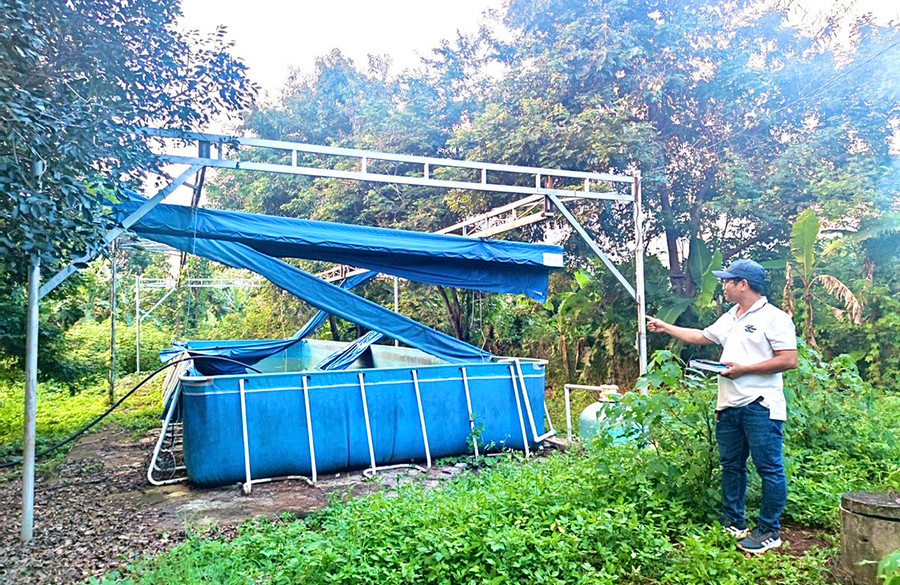 Bể bơi tại Trường Tiểu học Anh Hùng Núp (xã Ia Hrú, huyện Chư Pưh) chưa sử dụng ngày nào nhưng đã xuống cấp nghiêm trọng. Ảnh: M.N Bể bơi tại Trường Tiểu học Anh Hùng Núp (xã Ia Hrú, huyện Chư Pưh) chưa sử dụng ngày nào nhưng đã xuống cấp nghiêm trọng. Ảnh: M.N