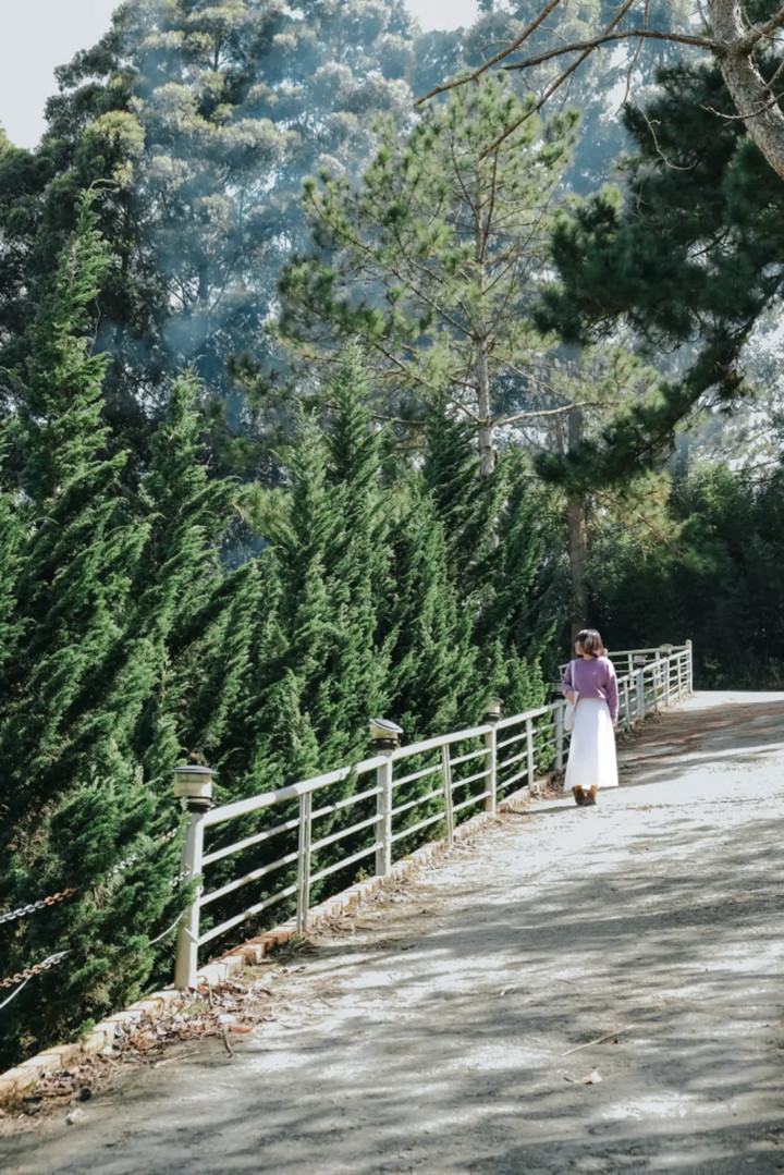 Một địa điểm ngắm hoàng hôn đẹp ở Đà Lạt phải kể đến là dốc Persimmon. Một địa điểm ngắm hoàng hôn đẹp ở Đà Lạt phải kể đến là dốc Persimmon.