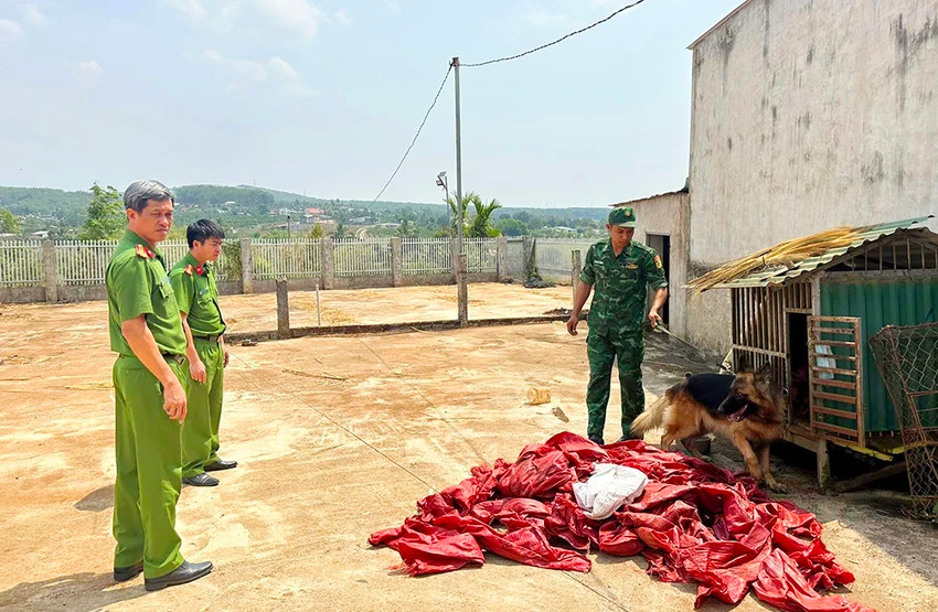 Công an huyện Ngọc Hồi dùng chó nghiệp vụ tìm ma túy đá. Ảnh: CACC. Công an huyện Ngọc Hồi dùng chó nghiệp vụ tìm ma túy đá. Ảnh: CACC.