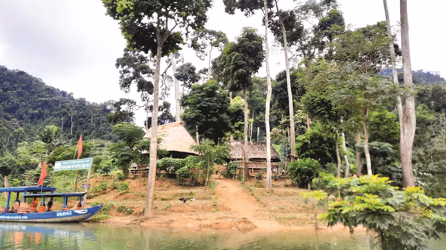 Đây là điểm chốt của tổ công tác bảo vệ rừng Khe Ru (Vườn Quốc gia sông Thanh), một trong những chốt chặn bảo vệ rừng, bảo tồn loài Mang lớn. Ảnh: N.D