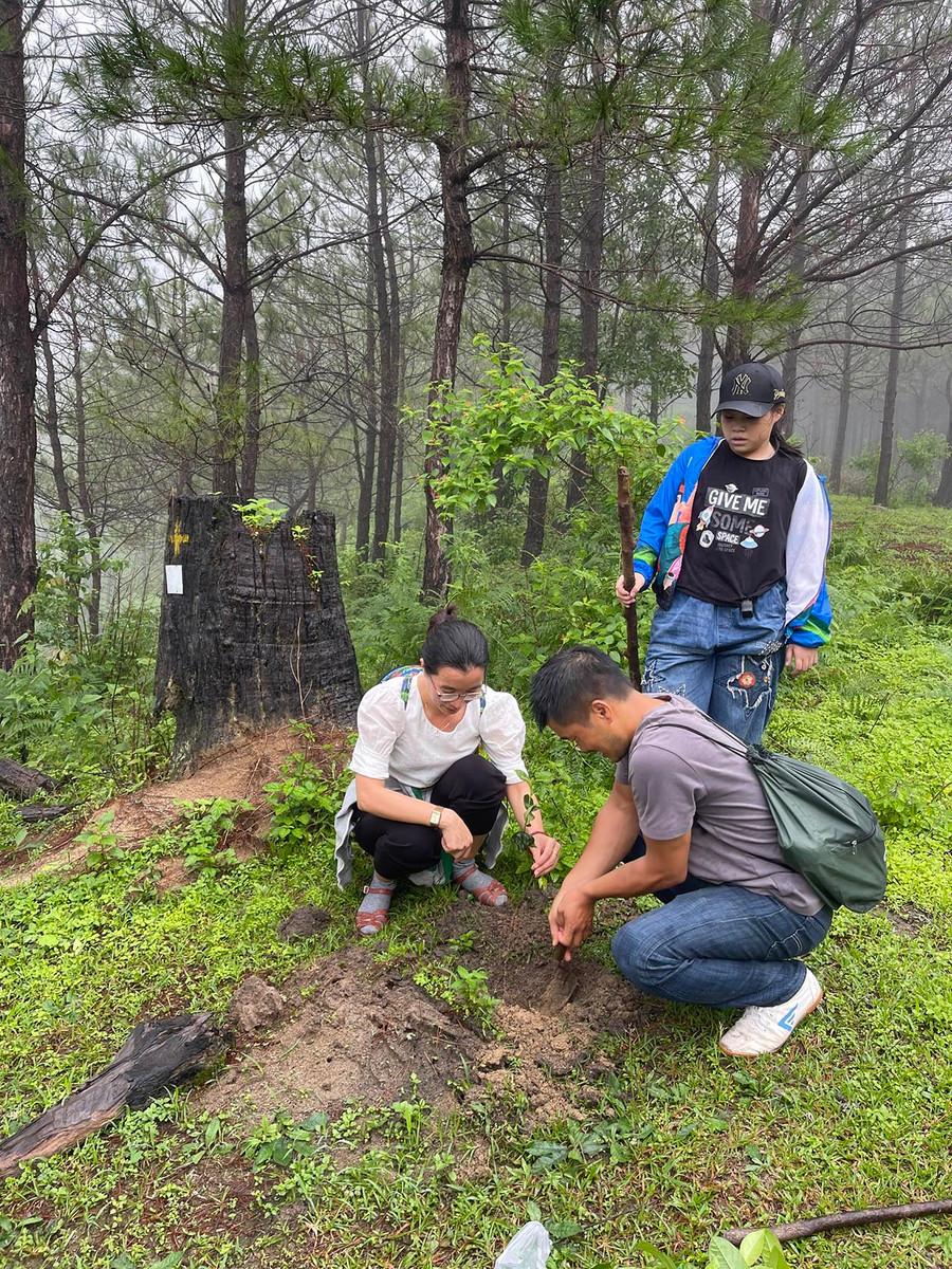 Ảnh: Tạ Ngọc Điệp Ảnh: Tạ Ngọc Điệp